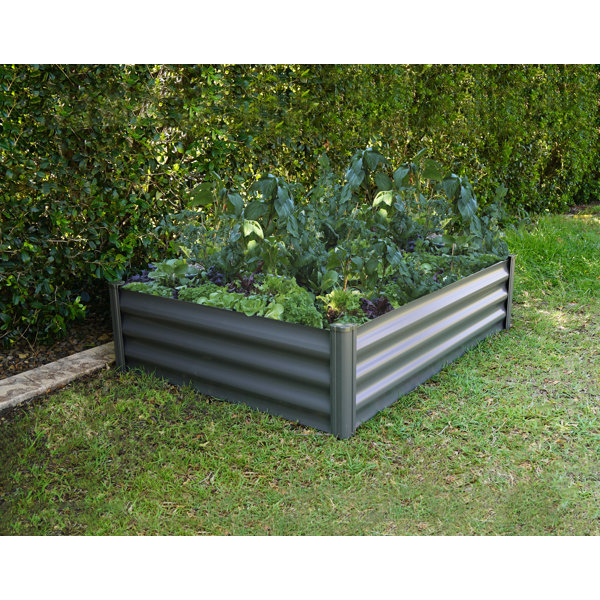 The Organic Garden Co. 4 ft x 3 ft Metal Raised Garden Bed | Wayfair